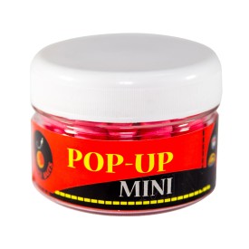 Mini Pop-up Roz